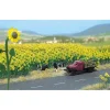 Best Sale Busch 6003 HO Sunflower Field Kit (Pack of 60) - Your Source for Gaming Essentials