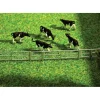 Best Faller Gmbh 272408 N Fence System For Stalls & Open-Stable Farm - Your Source for Gaming Essentials Trains