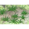 Sale JTT Scenery Products 95533 HO 5/8'' Ferns (Pack of 12) - Your Source for Gaming Essentials Trains