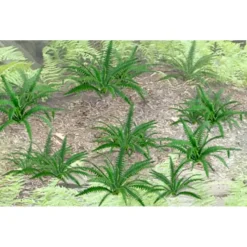 Sale JTT Scenery Products 95533 HO 5/8'' Ferns (Pack of 12) - Your Source for Gaming Essentials Trains