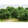 Best JTT Scenery Products 92122 N 2"-2.25" Fruit Grove Apple Trees (Pack of 6) - Your Source for Gaming Essentials Trains
