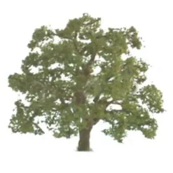 Discount JTT Scenery Products 96043 O 5" Live Oak Tree - Your Source for Gaming Essentials Trains