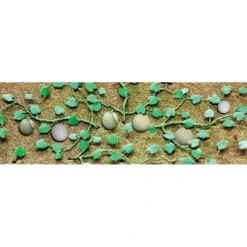 Best Sale JTT Scenery Products 95574 O 2 3/4" Cantaloupe Patch (Pack of 4) - Your Source for Gaming Essentials