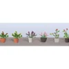 Online JTT Scenery Products 95566 O Assorted Potted Flower Plants (Pack of 6) - Your Source for Gaming Essentials Trains