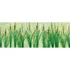 Clearance JTT Scenery Products 95536 O Scale Cattails 1-1/2'' Height 4 cm. (Pack of 24) - Your Source for Gaming Essentials Trains