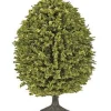Outlet Life Like 1992 Pruned Trees 2.5" (Pack of 4) - Your Source for Gaming Essentials Trains