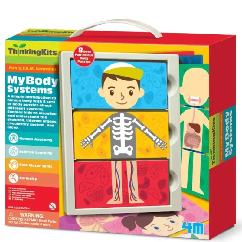 Toys-4M ThinkingKits STEM Learning Tool - My Body Anatomy Systems - Your Source for Gaming Essentials