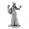 Tabletop Miniatures>Reaper Miniatures Brinewind Townsfolk Goose Lady Unpainted #04022 Unpainted Figure - Your Source for Gaming Essentials