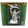 Tabletop Miniatures>Reaper Miniatures Female Necromancer #03751 Dark Heaven Legends Unpainted Figure - Your Source for Gaming Essentials