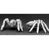 Tabletop Miniatures>Reaper Miniatures Giant Spiders (2) 02417 Dark Heaven Legends Unpainted Metal - Your Source for Gaming Essentials