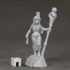 Tabletop Miniatures>Reaper Miniatures Mummy Queen #03854 Dark Heaven Legends Unpainted Metal Figure - Your Source for Gaming Essentials