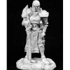 Tabletop Miniatures>Reaper Miniatures Paladin Initiate #02795 Dark Heaven Legends Unpainted Metal - Your Source for Gaming Essentials