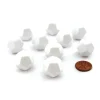 Dice>Set of 10 Opaque 12-Sided D12 White 19mm Blank Dice - Your Source for Gaming Essentials