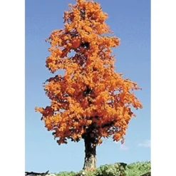 Timberline Scenery 221 Deciduous 9-11 October Orange - Your Source for Gaming Essentials* New