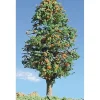 Timberline Scenery 229 Deciduous Orange Trees 3"-5" (Pack of 2) - Your Source for Gaming Essentials* Online